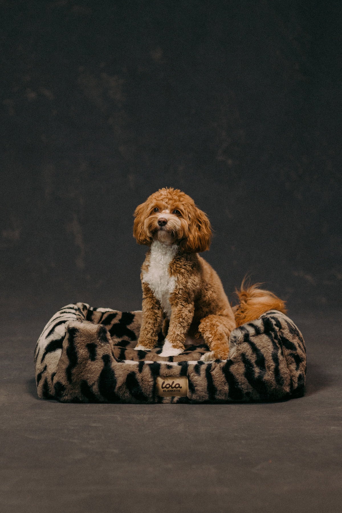 The Lola Pet Bed | Desert Tiger