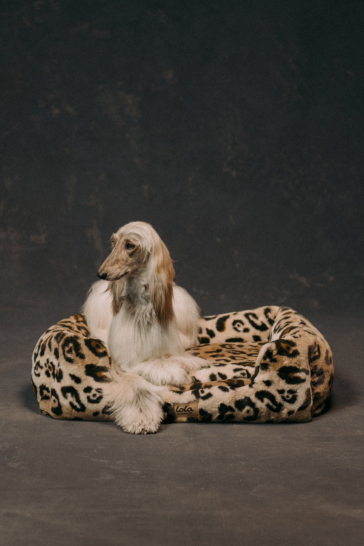 The Lola Pet Bed | Leopard