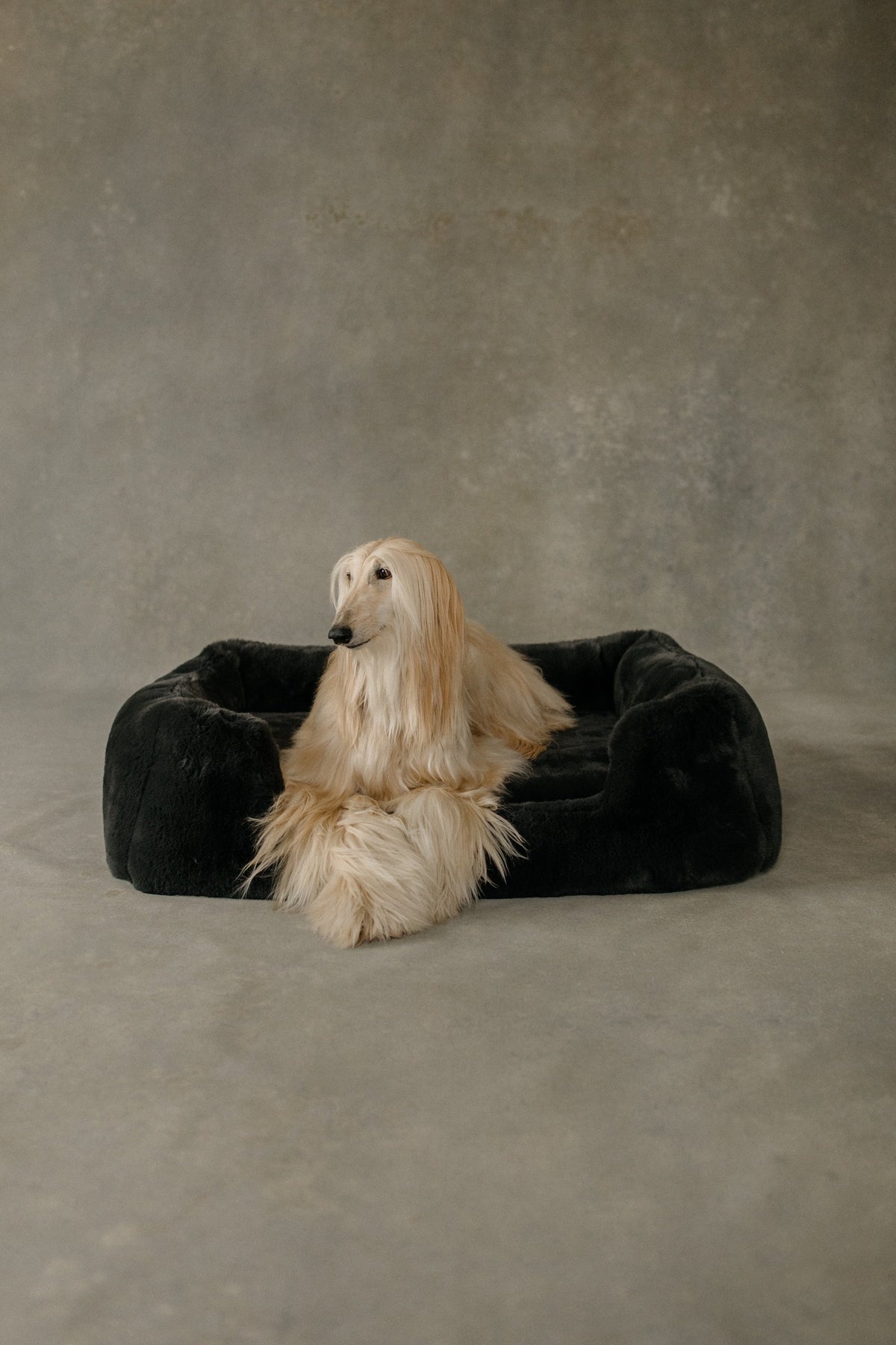 The Lola Pet Bed | Charcoal Grey