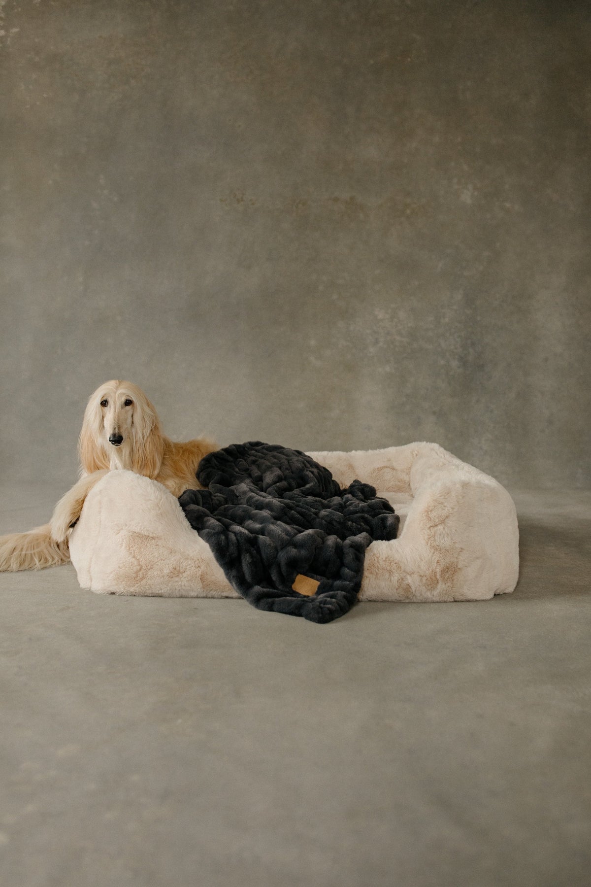 The Lola Pet Bed | Bondi Beige